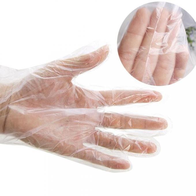 Plastic Transparent Disposable Gloves , Non Sterile Polythene Gloves