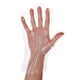 China Highly Elastic Polythene Hand Gloves / Medical TPE Clear Single Use Gloves supplier